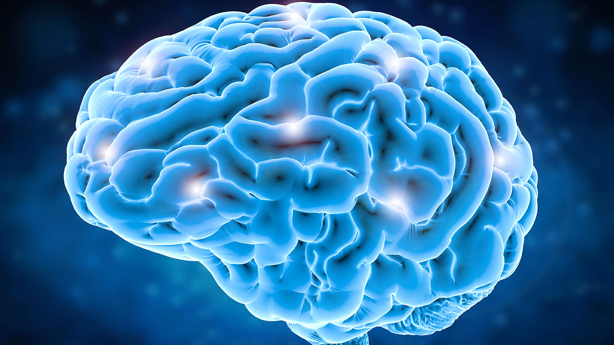 illustration of a brain